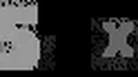 布朗：昨晚与獺兔同失误11回，今日赛后立誓改进，今日仅犯一错