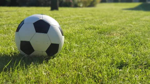 郑钦文WTA年终总决赛首秀即获亚军，2025年完美收官环球时报