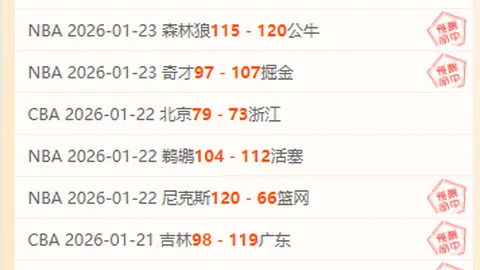 多特蒙德：布雷斯勞的非凡荣耀！