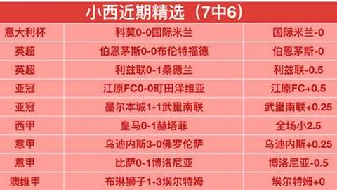 大乐透期号专家质合分析推荐前区十码解析：印尼超10胜9场策略